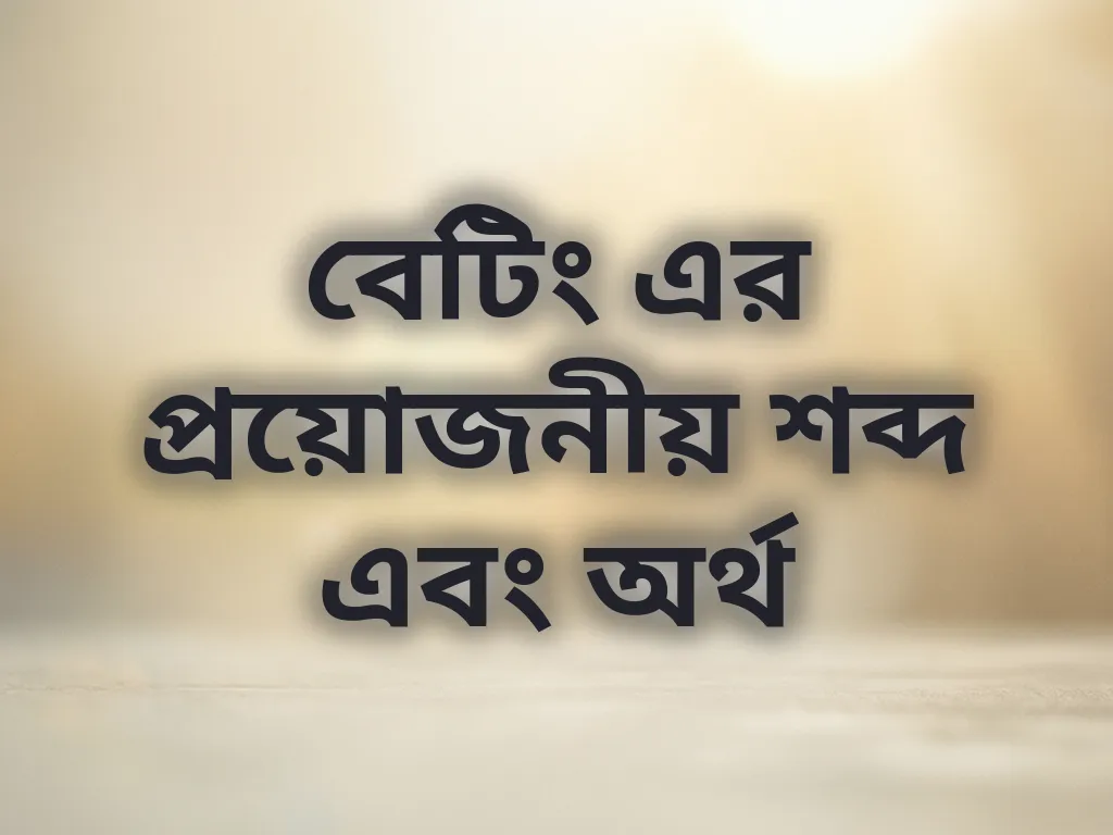 বেটিং টার্মস গাইড